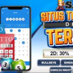 Exploring Sakti55: The Ultimate Online Betting Experience